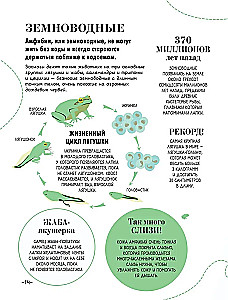 100 thousand why for every day. Nature