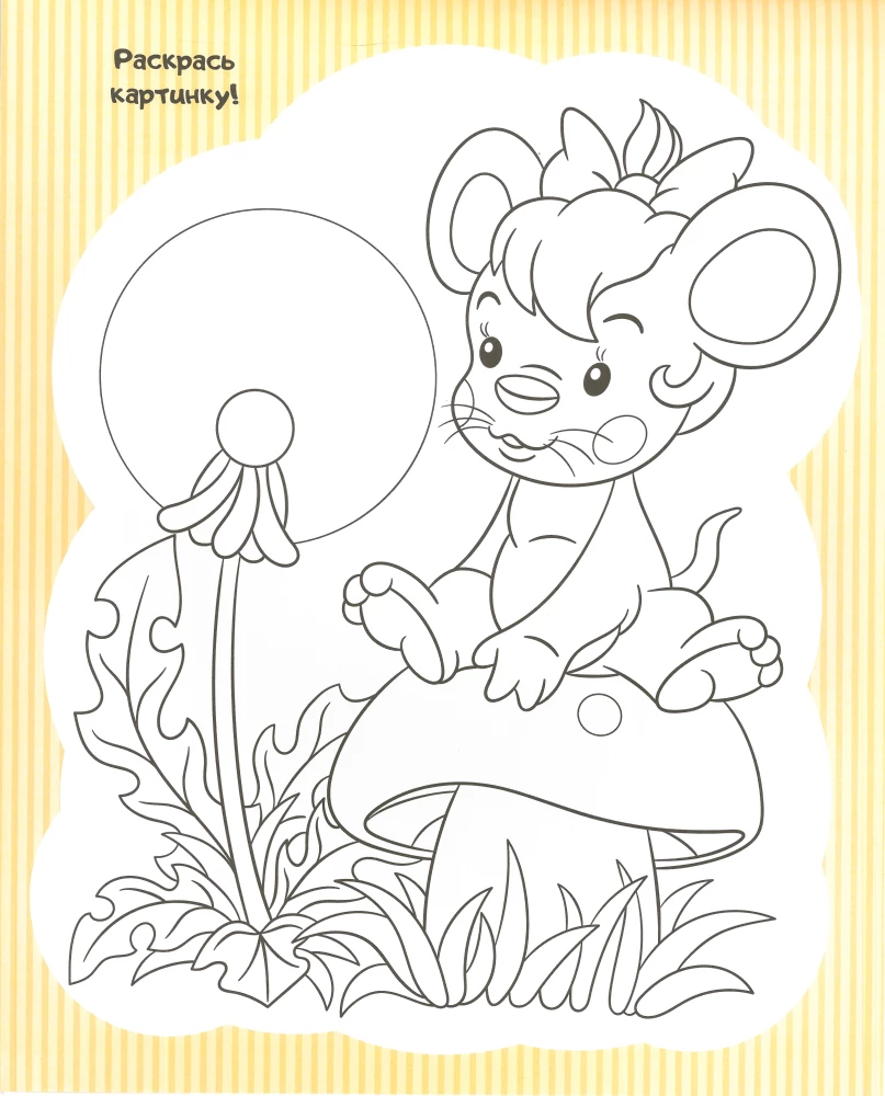 Who Lives Where? 20 Ideas for Creativity