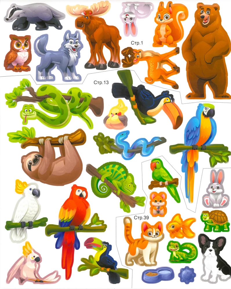 Who Lives Where? 20 Ideas for Creativity