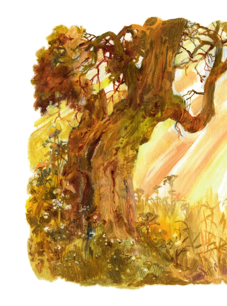 The Life and Adventures of Santa Claus