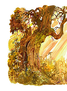 The Life and Adventures of Santa Claus