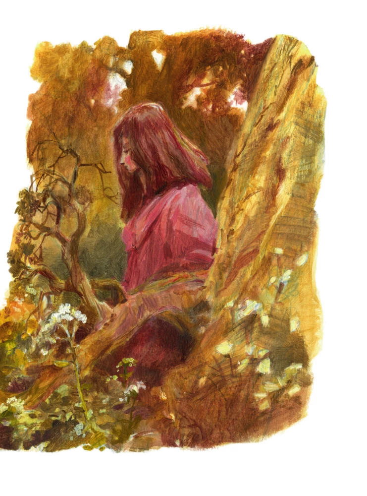 The Life and Adventures of Santa Claus