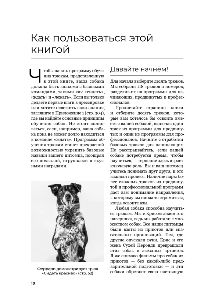 The Dog Who Can Do It All: A Step-by-Step Guide to 118 Amazing Tricks