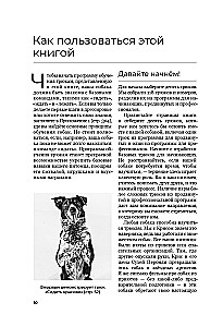 The Dog Who Can Do It All: A Step-by-Step Guide to 118 Amazing Tricks