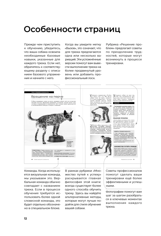 The Dog Who Can Do It All: A Step-by-Step Guide to 118 Amazing Tricks