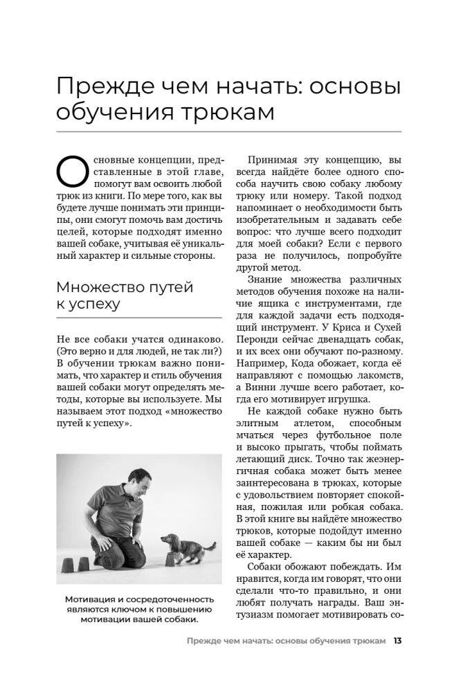 The Dog Who Can Do It All: A Step-by-Step Guide to 118 Amazing Tricks