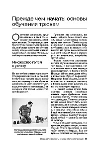 The Dog Who Can Do It All: A Step-by-Step Guide to 118 Amazing Tricks