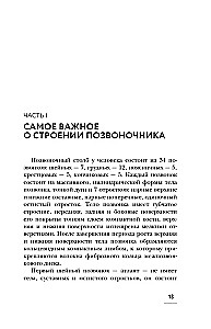 Solo for the Spine. Exercises for Maintaining Muscles and Joints