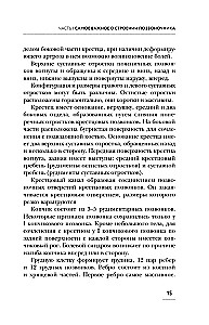 Solo for the Spine. Exercises for Maintaining Muscles and Joints