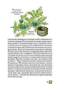 Боги, люди, ароматы