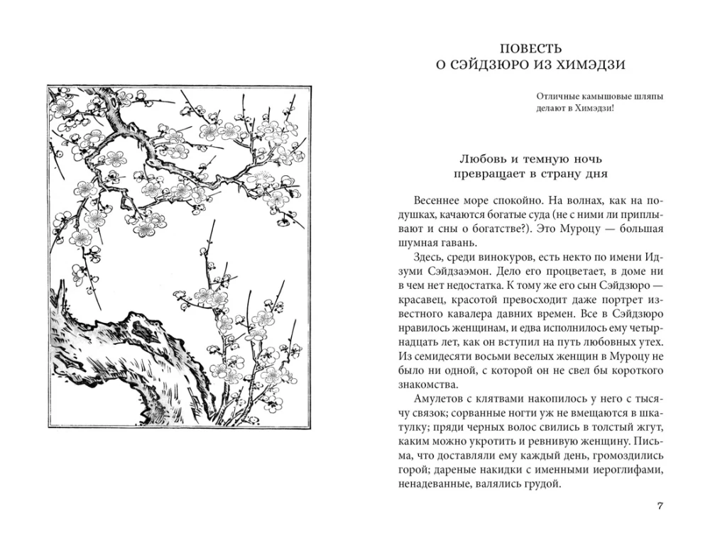 Five Women Who Surrendered to Love. The Story of the Romantic Adventures of a Lonely Woman