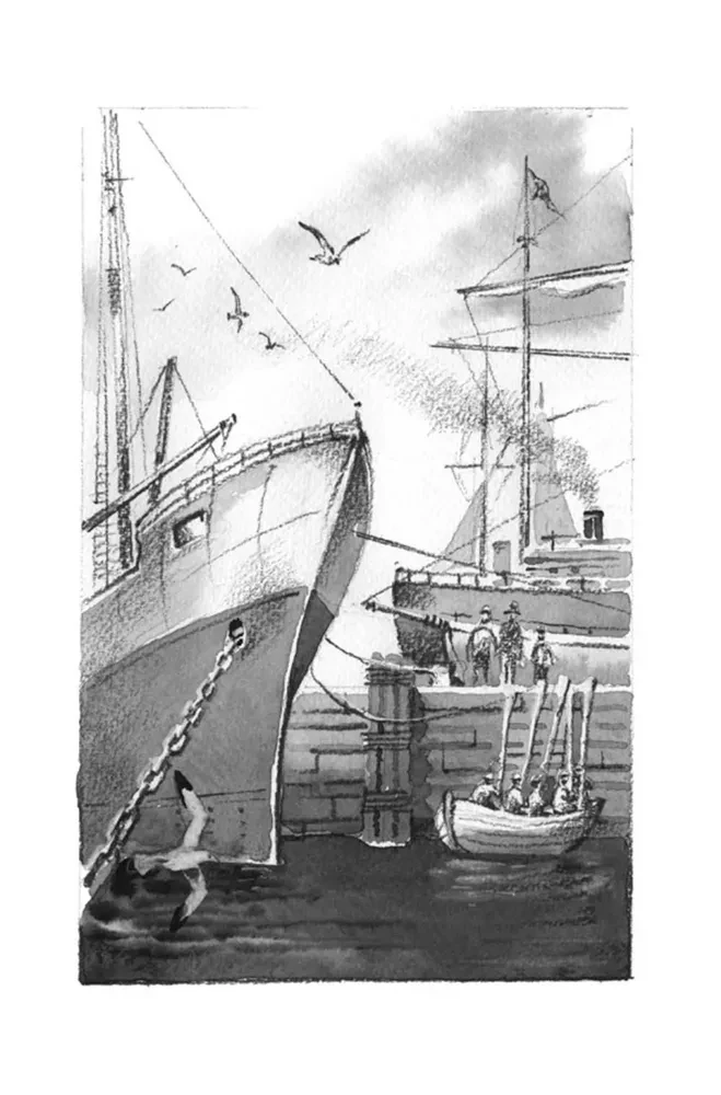 Tomek in the Land of Kangaroos and Other Amazing Adventures