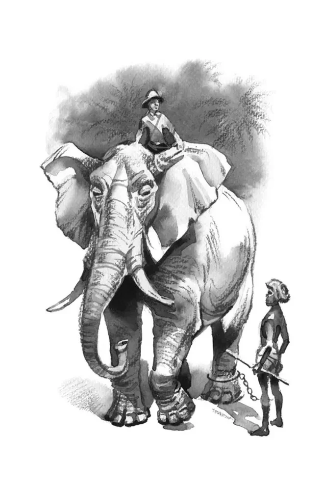 Tomek in the Land of Kangaroos and Other Amazing Adventures