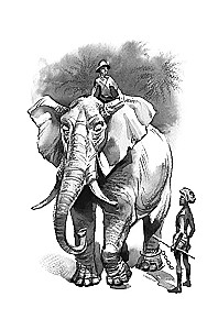 Tomek in the Land of Kangaroos and Other Amazing Adventures