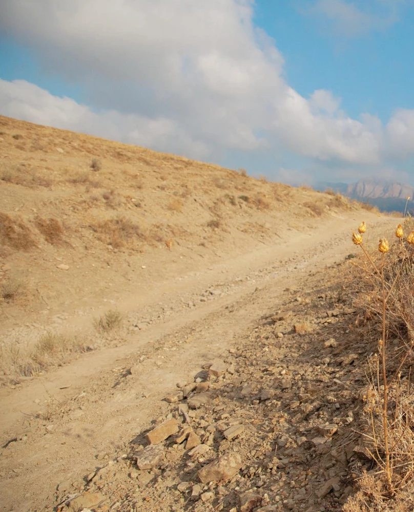 Wodka. Album-Reiseleiter durch die Realität und eine Reise in die Vergangenheit