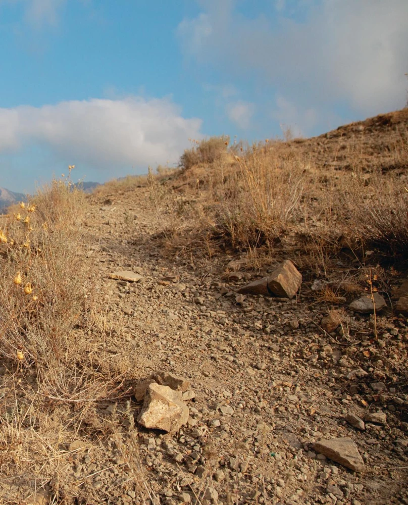 Wodka. Album-Reiseleiter durch die Realität und eine Reise in die Vergangenheit