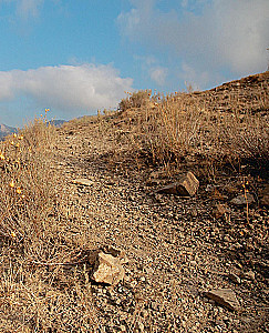 Wodka. Album-Reiseleiter durch die Realität und eine Reise in die Vergangenheit