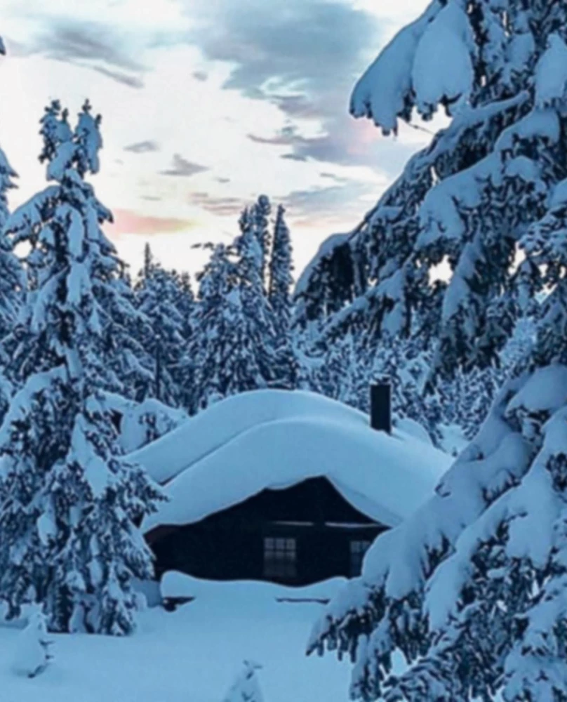 Nordic. Įkvėpimas, jaukumas ir maistas su Šiaurės skoniu