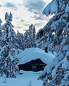 Nordic. Įkvėpimas, jaukumas ir maistas su Šiaurės skoniu