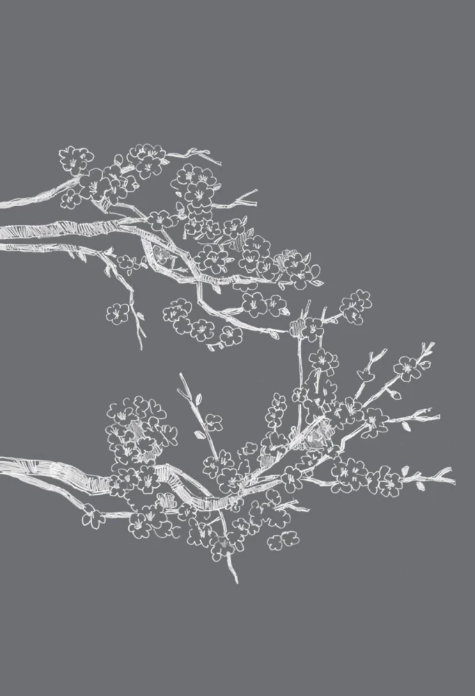 Haiku. Rašinių rinkinys