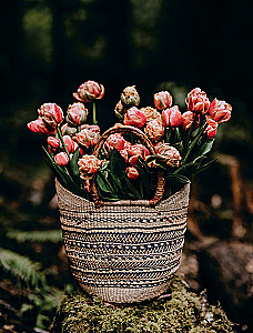 Язык любви цветов: флориография и букеты, говорящие о чувствах