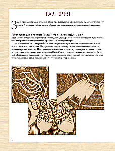 Woodburning. A Complete Step-by-Step Guide to Pyrography for Beginners and Enthusiasts