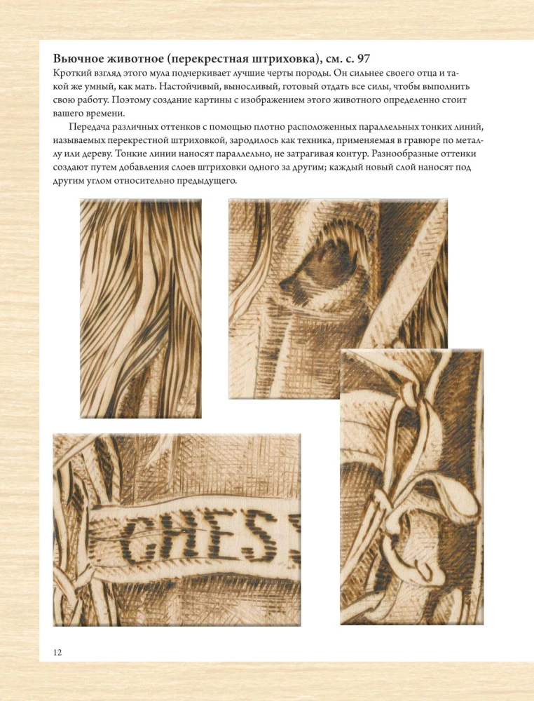 Woodburning. A Complete Step-by-Step Guide to Pyrography for Beginners and Enthusiasts