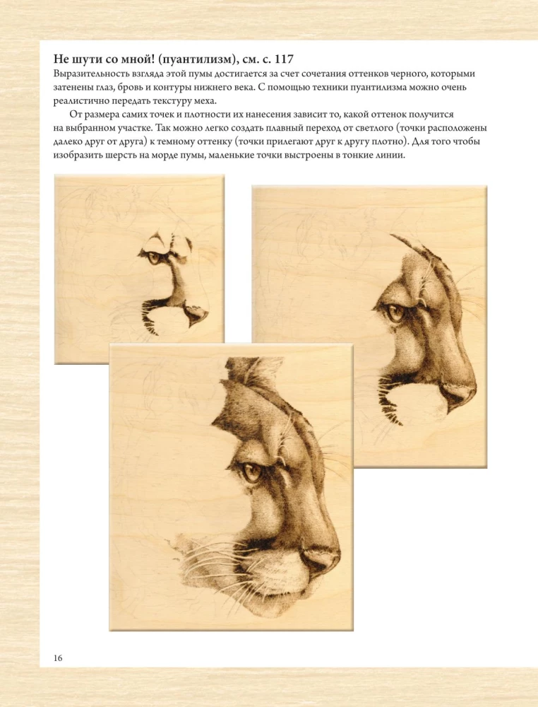 Woodburning. A Complete Step-by-Step Guide to Pyrography for Beginners and Enthusiasts
