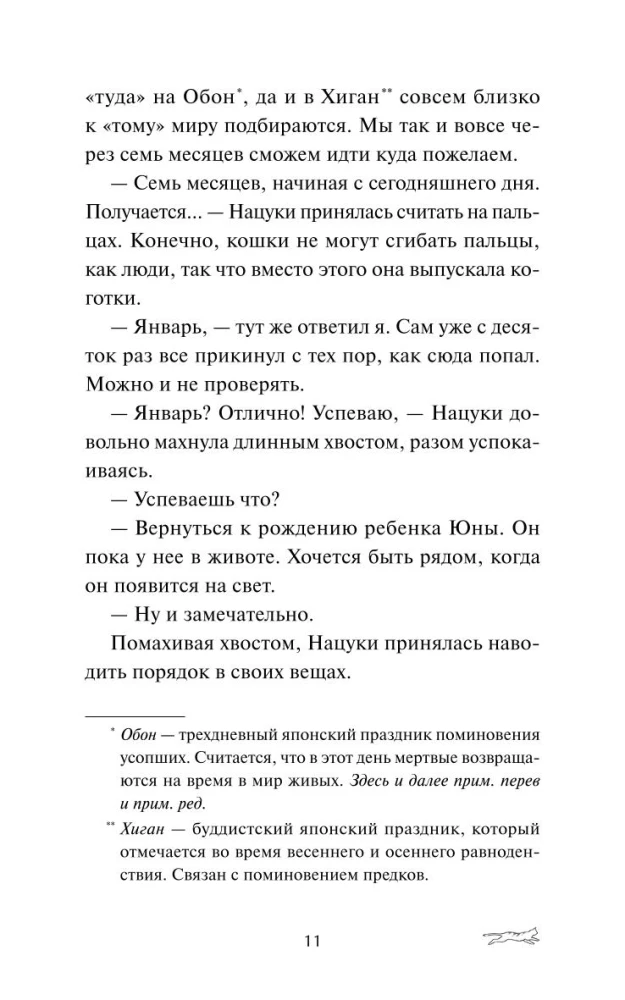 Punane kass Futa maailma vahel asuvas kohvikus