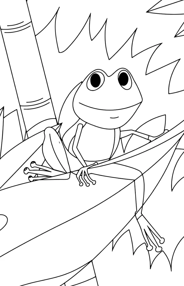 Kva-Kva dienos. Antistresinė spalvinimo knyga