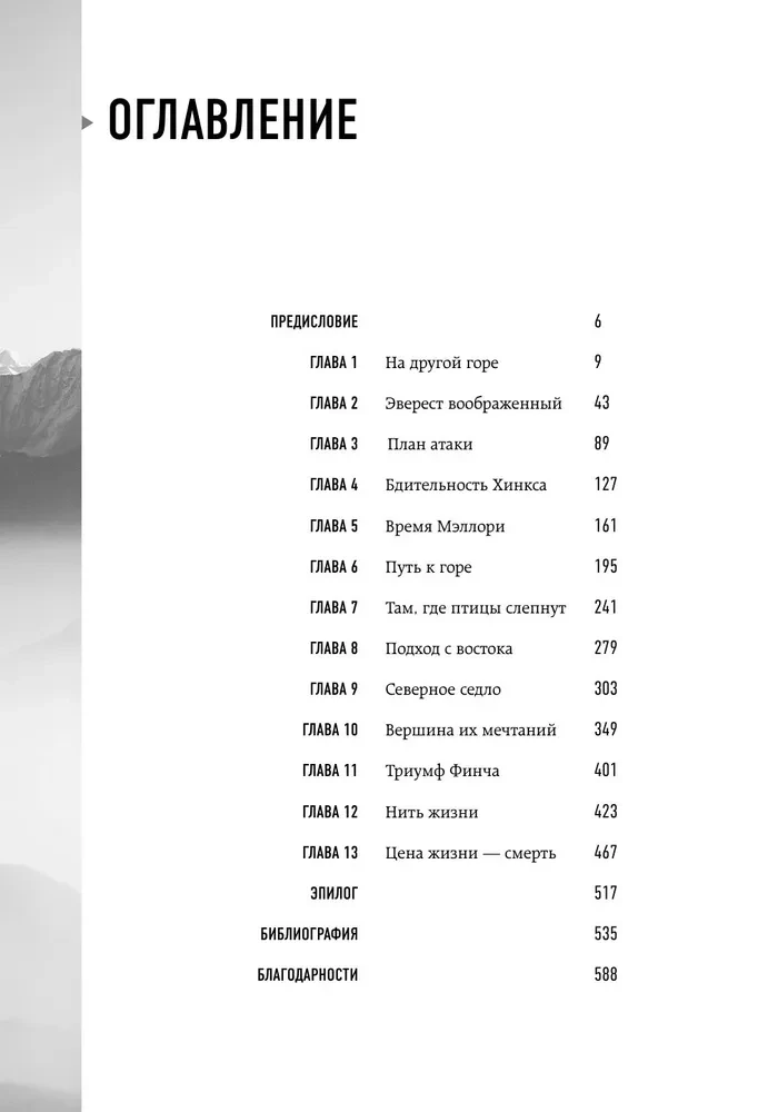 In der Stille des Everest. Wettlauf um den höchsten Gipfel der Welt