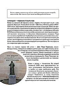 Sparkling. From Prosecco and Cava to Champagne. History, Regions, Selection