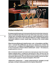 Sparkling. From Prosecco and Cava to Champagne. History, Regions, Selection