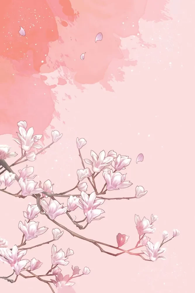 Separation of the Orchid and the Demon Lord. Volume 1 (webtoon) + limited merchandise