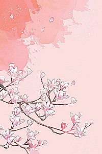 Separation of the Orchid and the Demon Lord. Volume 1 (webtoon) + limited merchandise