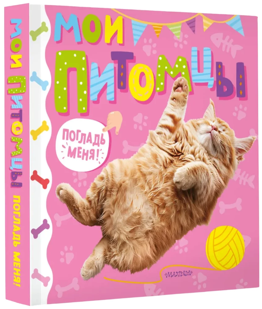 Mano naminiai gyvūnai