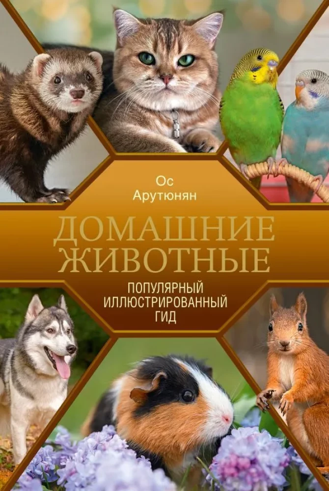 Pets. A Popular Illustrated Guide