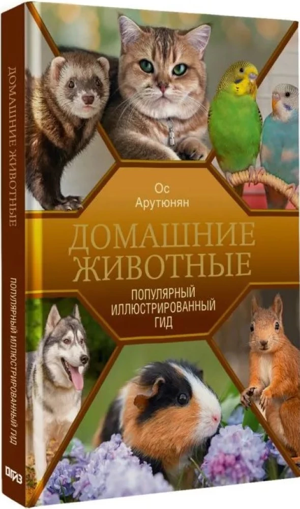 Pets. A Popular Illustrated Guide