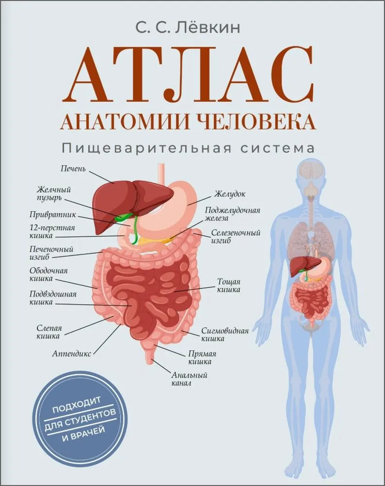 Atlas der Anatomie des Menschen. Verdauungssystem