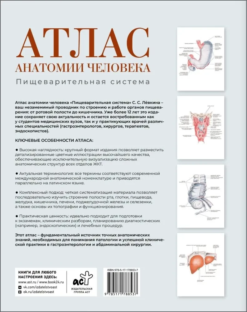Atlas of Human Anatomy. Digestive System