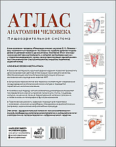 Atlas of Human Anatomy. Digestive System