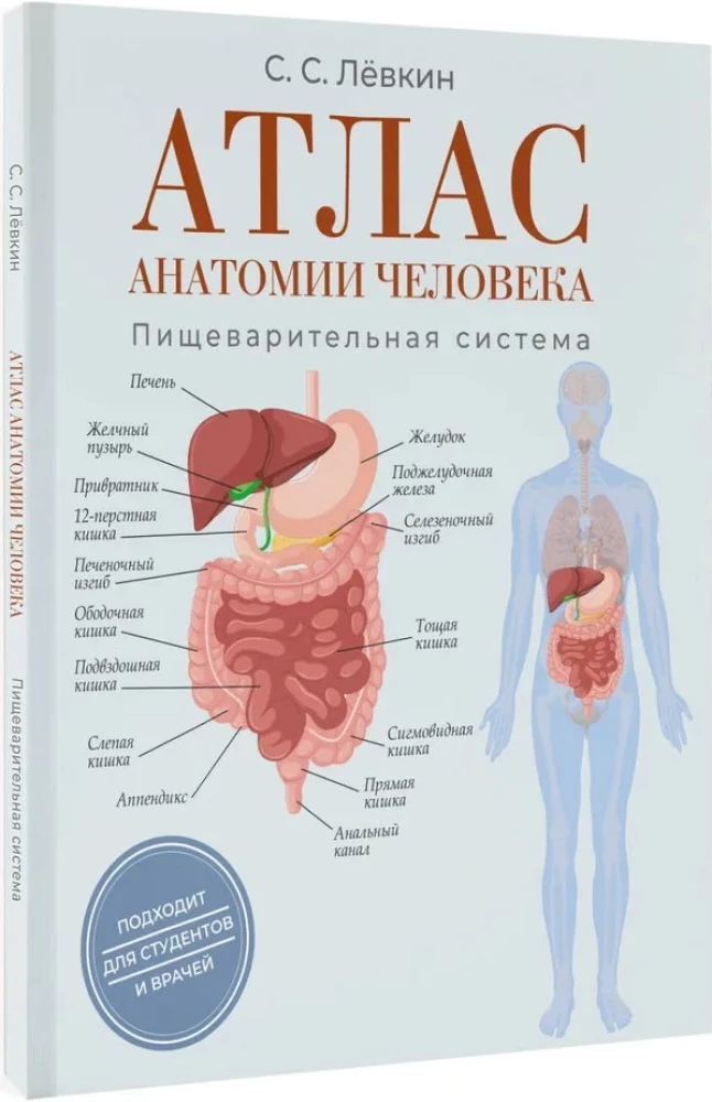 Atlas of Human Anatomy. Digestive System