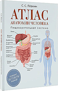 Atlas of Human Anatomy. Digestive System