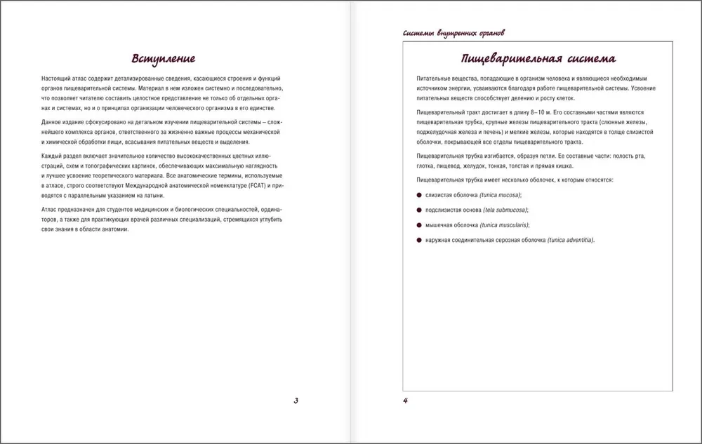 Atlas of Human Anatomy. Digestive System