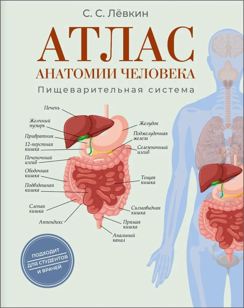 Atlas der Anatomie des Menschen. Verdauungssystem