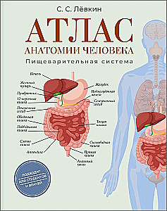 Atlas of Human Anatomy. Digestive System