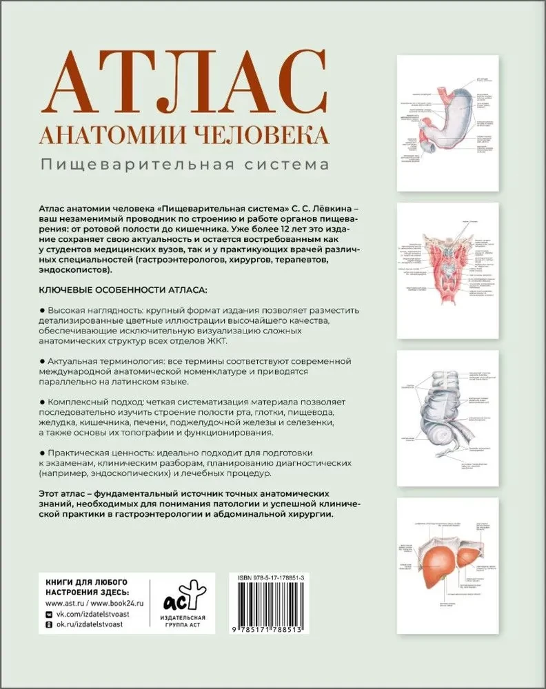 Atlas of Human Anatomy. Digestive System