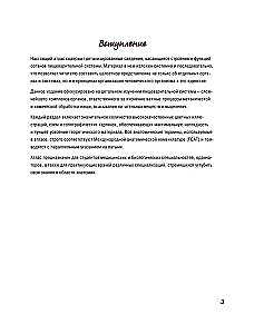 Atlas of Human Anatomy. Digestive System