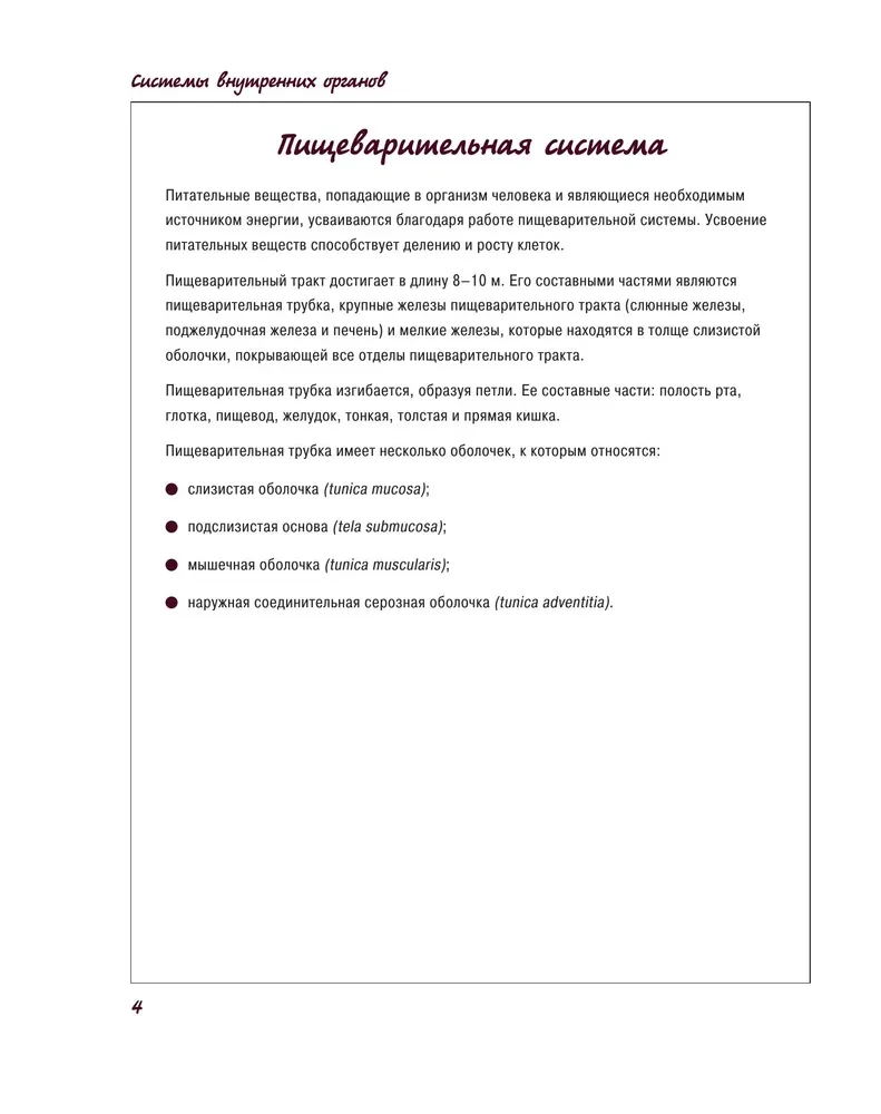 Atlas of Human Anatomy. Digestive System