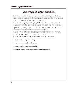 Atlas of Human Anatomy. Digestive System